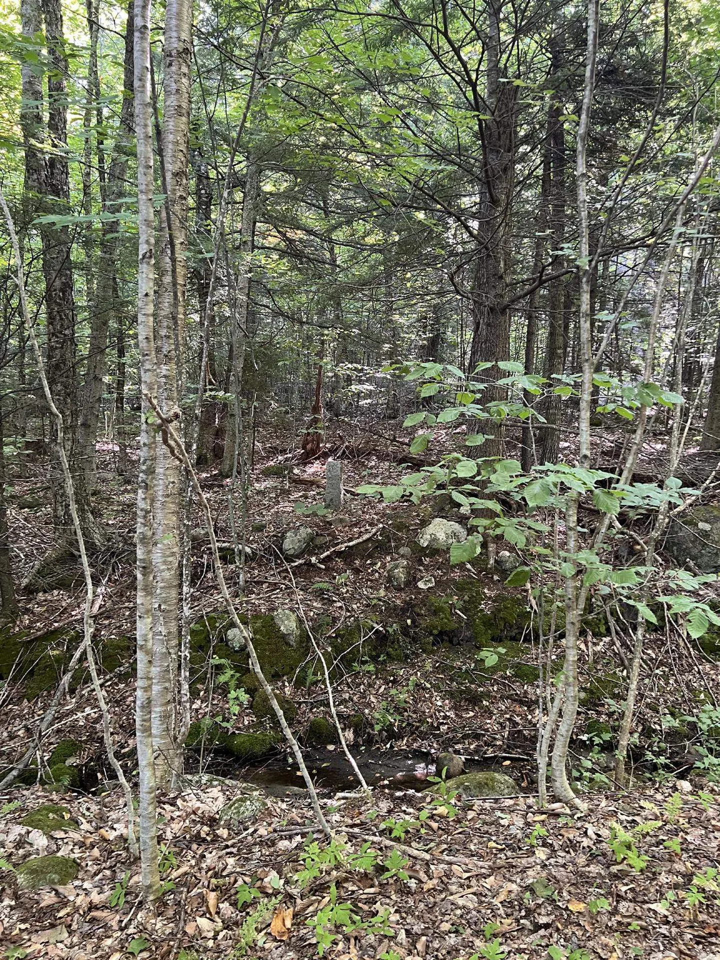 Pike Hill Road Plymouth NH 03264