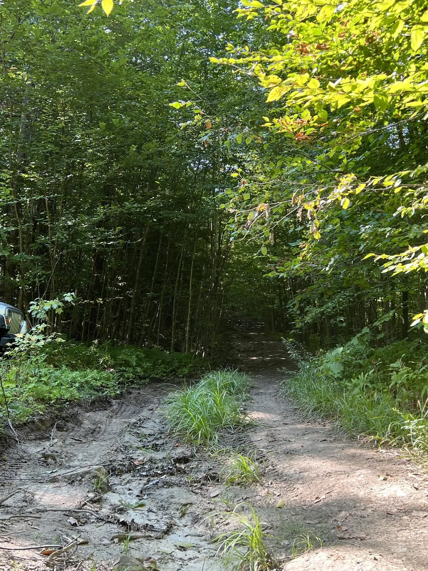 Pike Hill Road Plymouth NH 03264