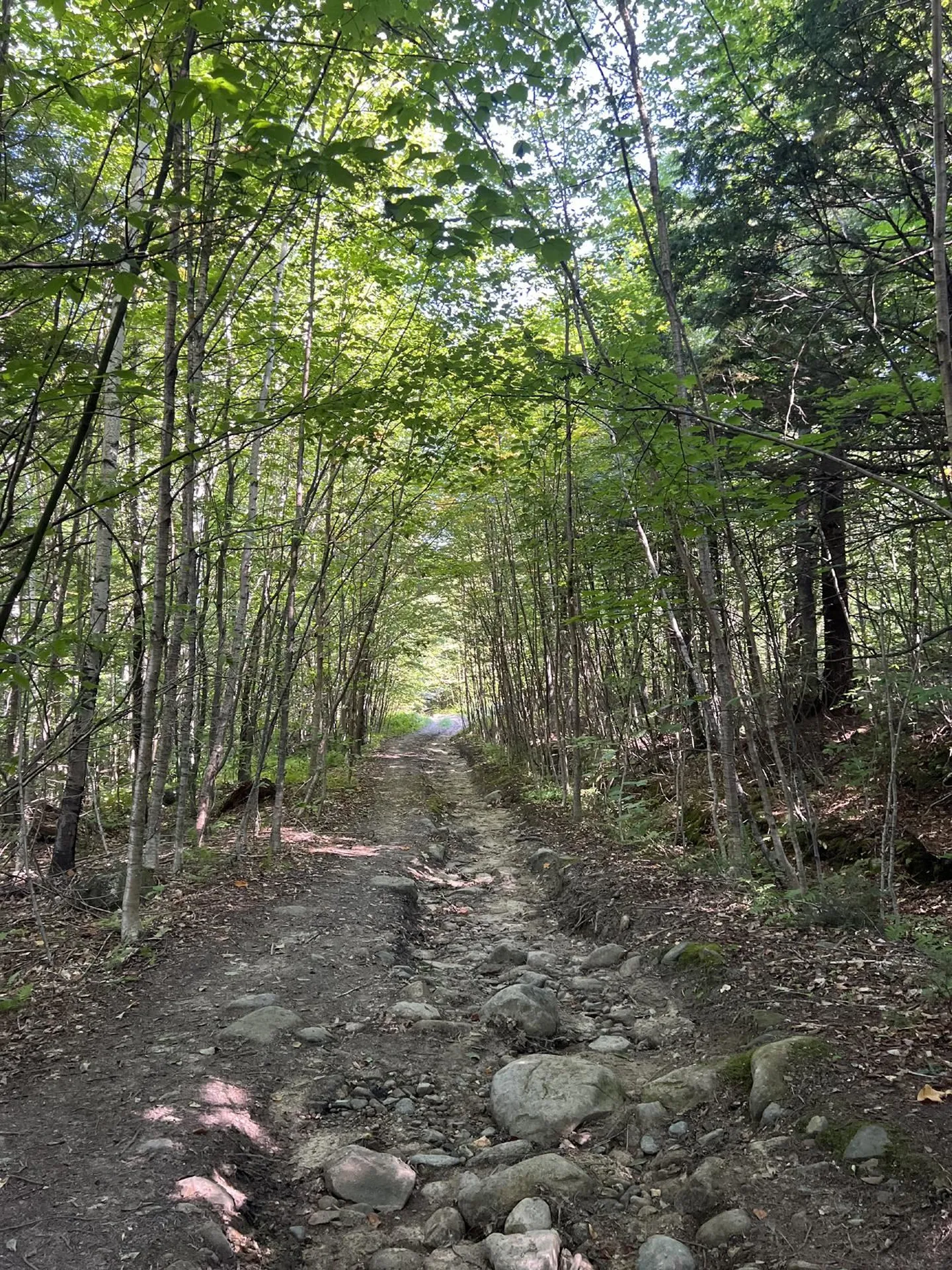 Pike Hill Road Plymouth NH 03264