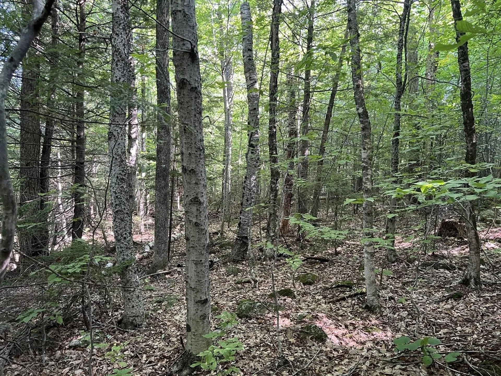 Pike Hill Road Plymouth NH 03264