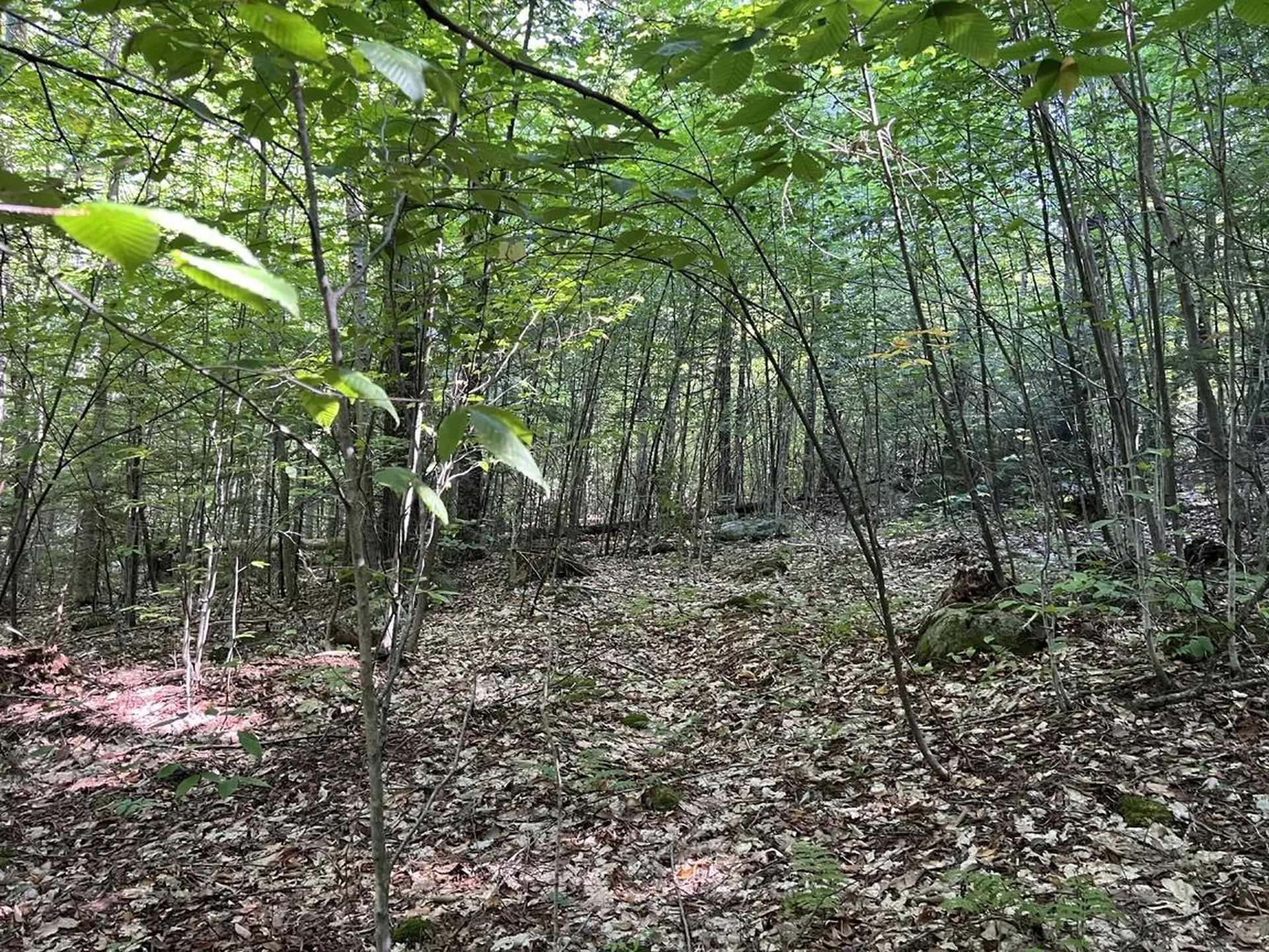 Pike Hill Road Plymouth NH 03264