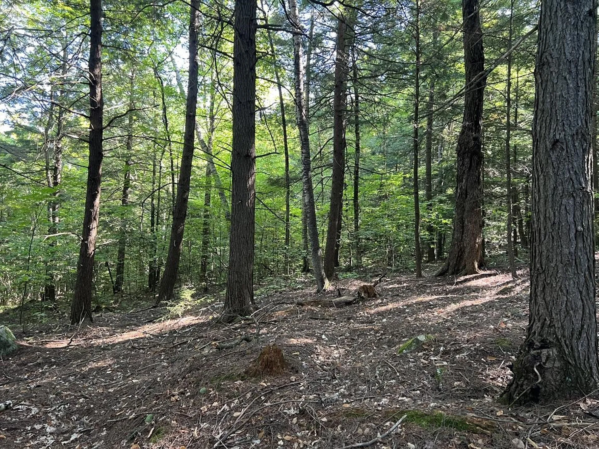 Pike Hill Road Plymouth NH 03264