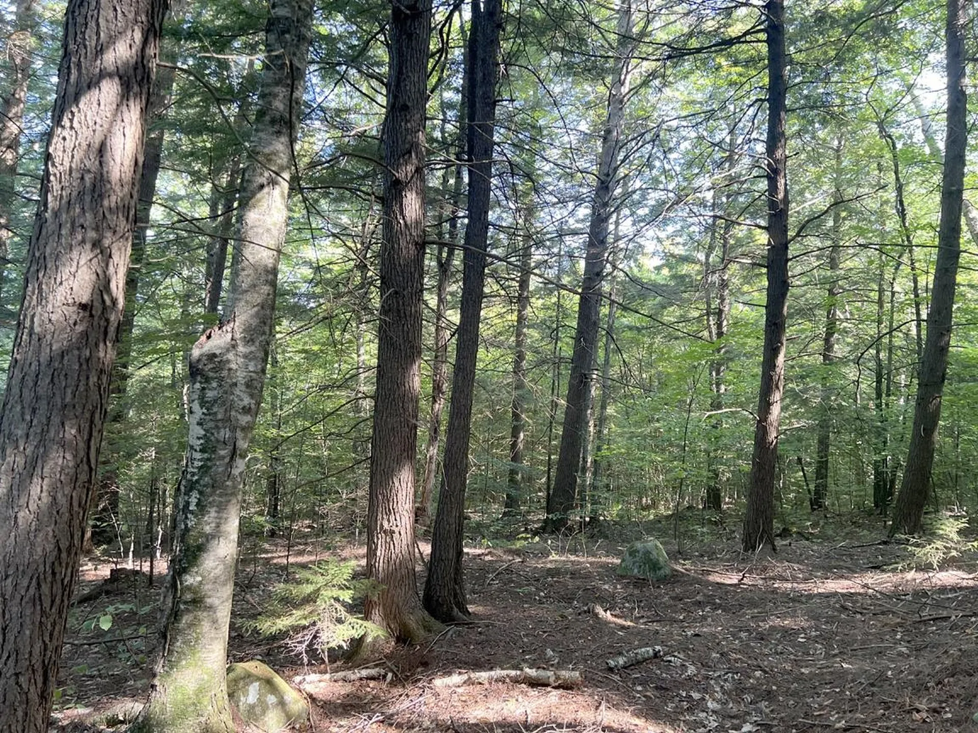 Pike Hill Road Plymouth NH 03264