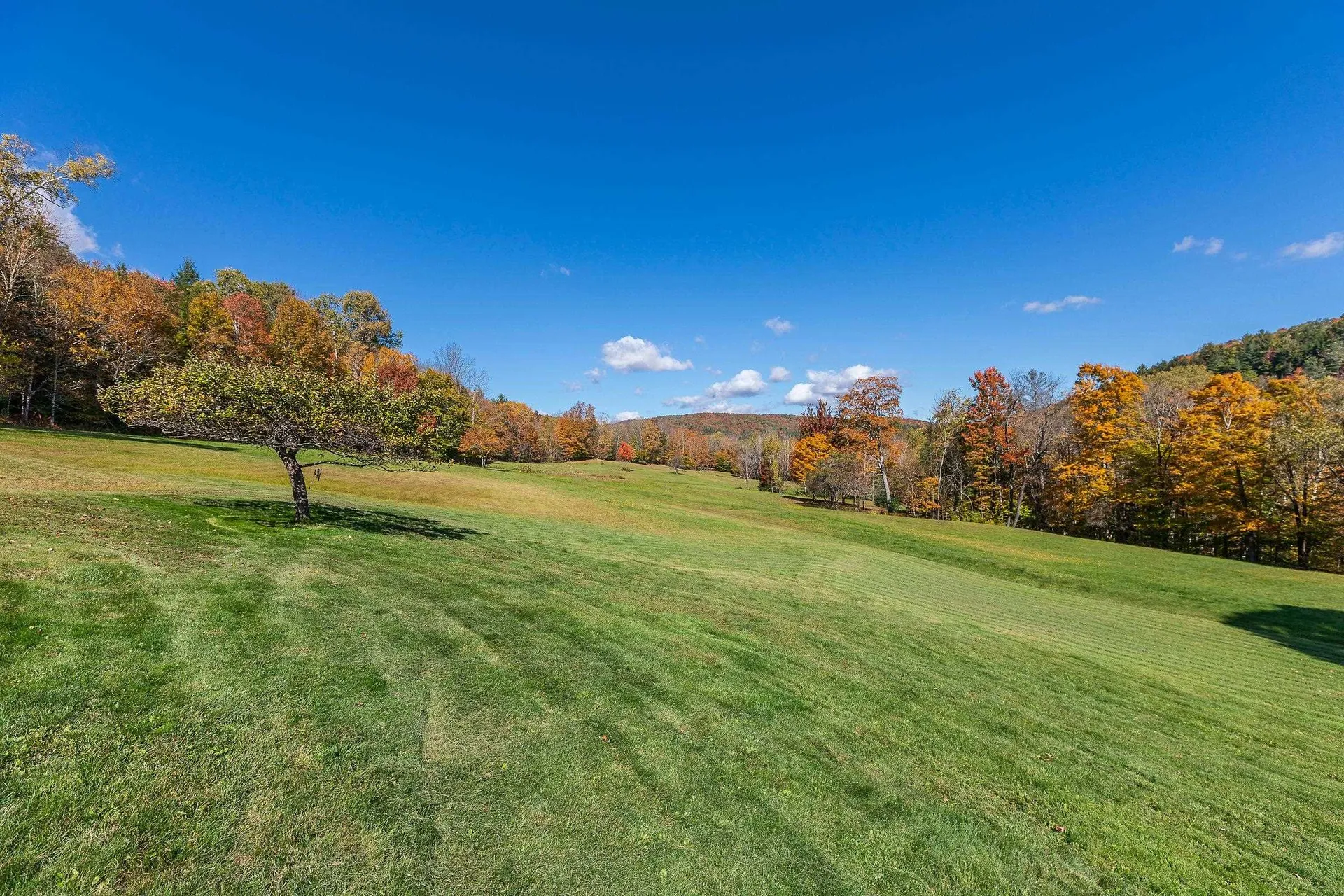 3043 Miller Pond Road Strafford VT 05072