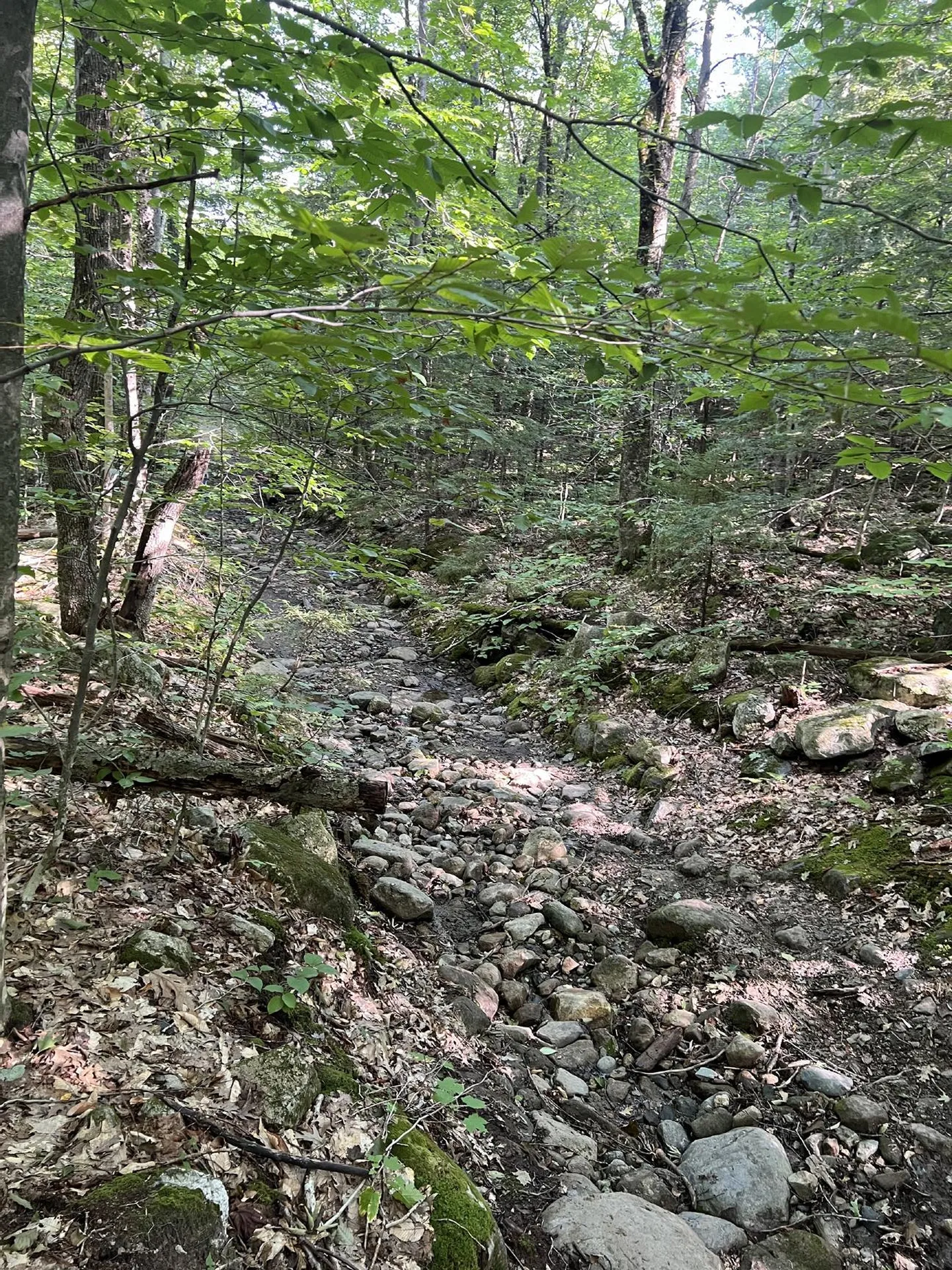 Pike Hill Road Plymouth NH 03264