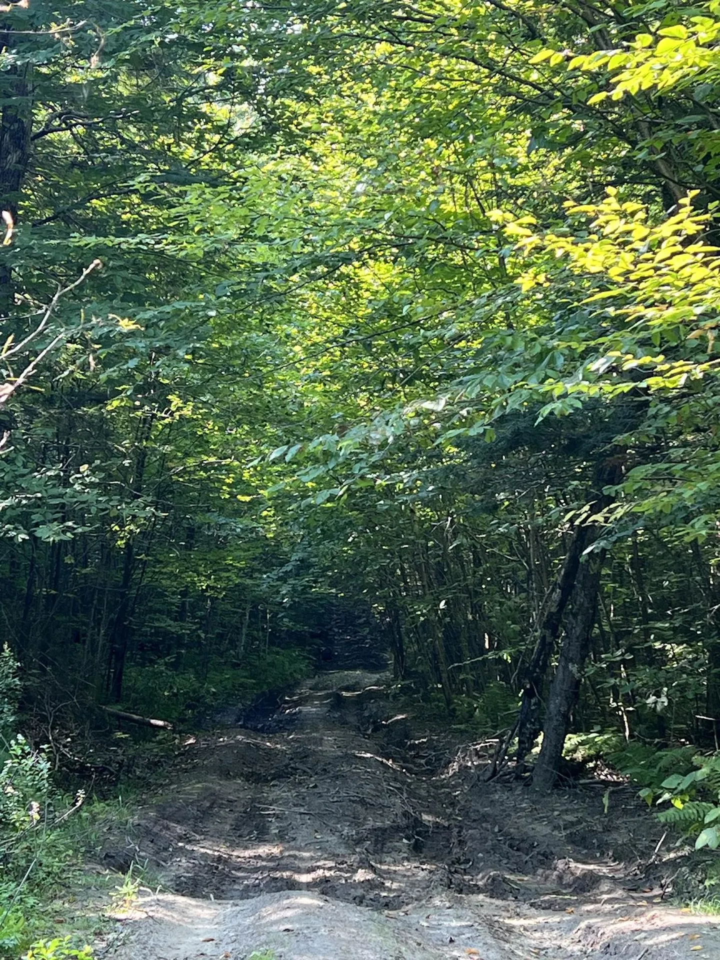 Pike Hill Road Plymouth NH 03264