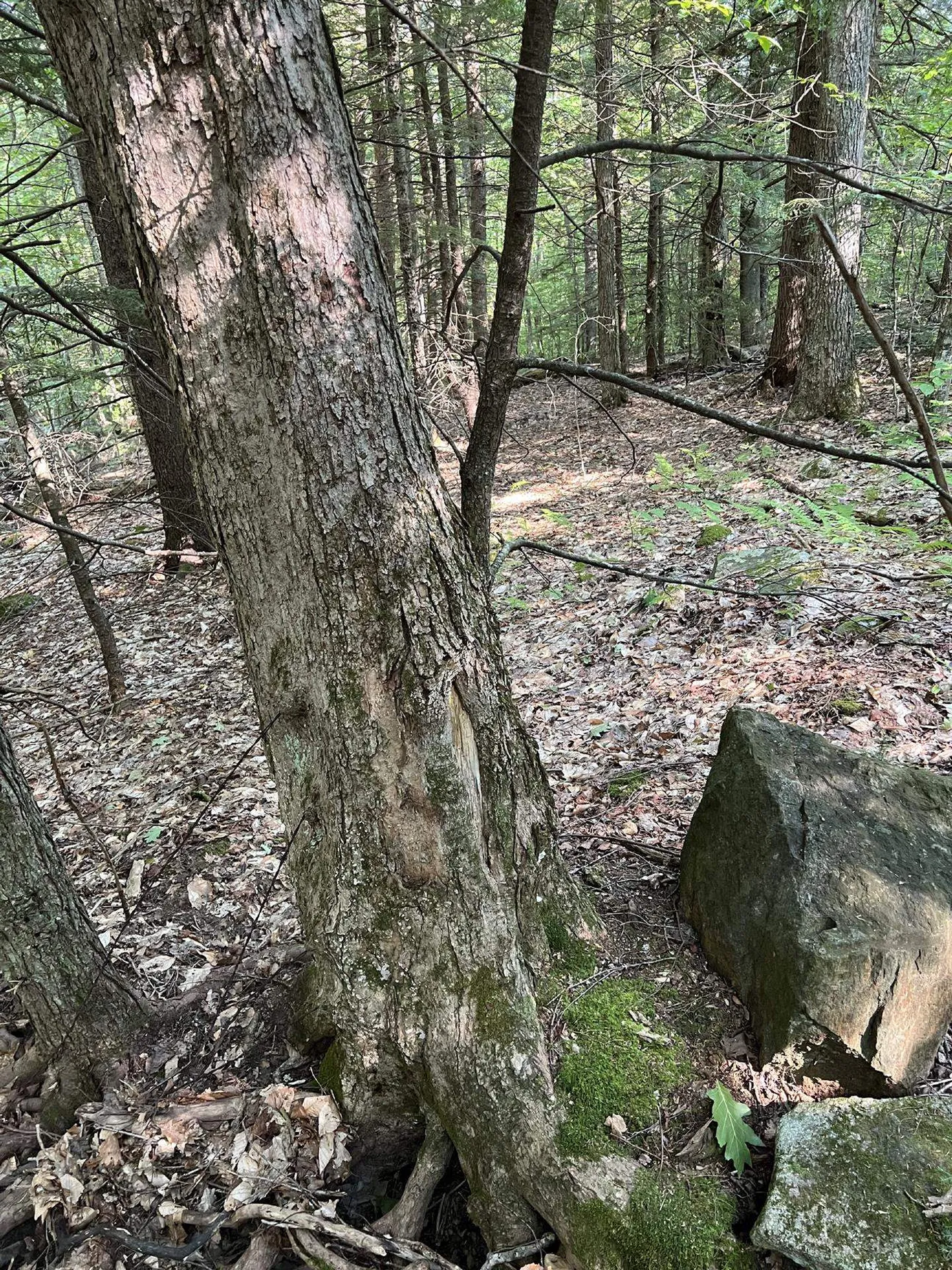 Pike Hill Road Plymouth NH 03264