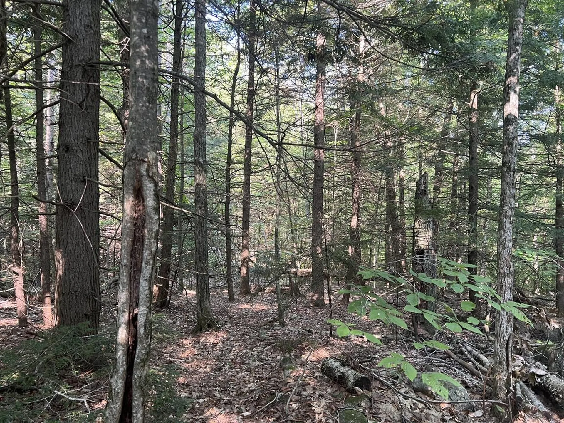 Pike Hill Road Plymouth NH 03264