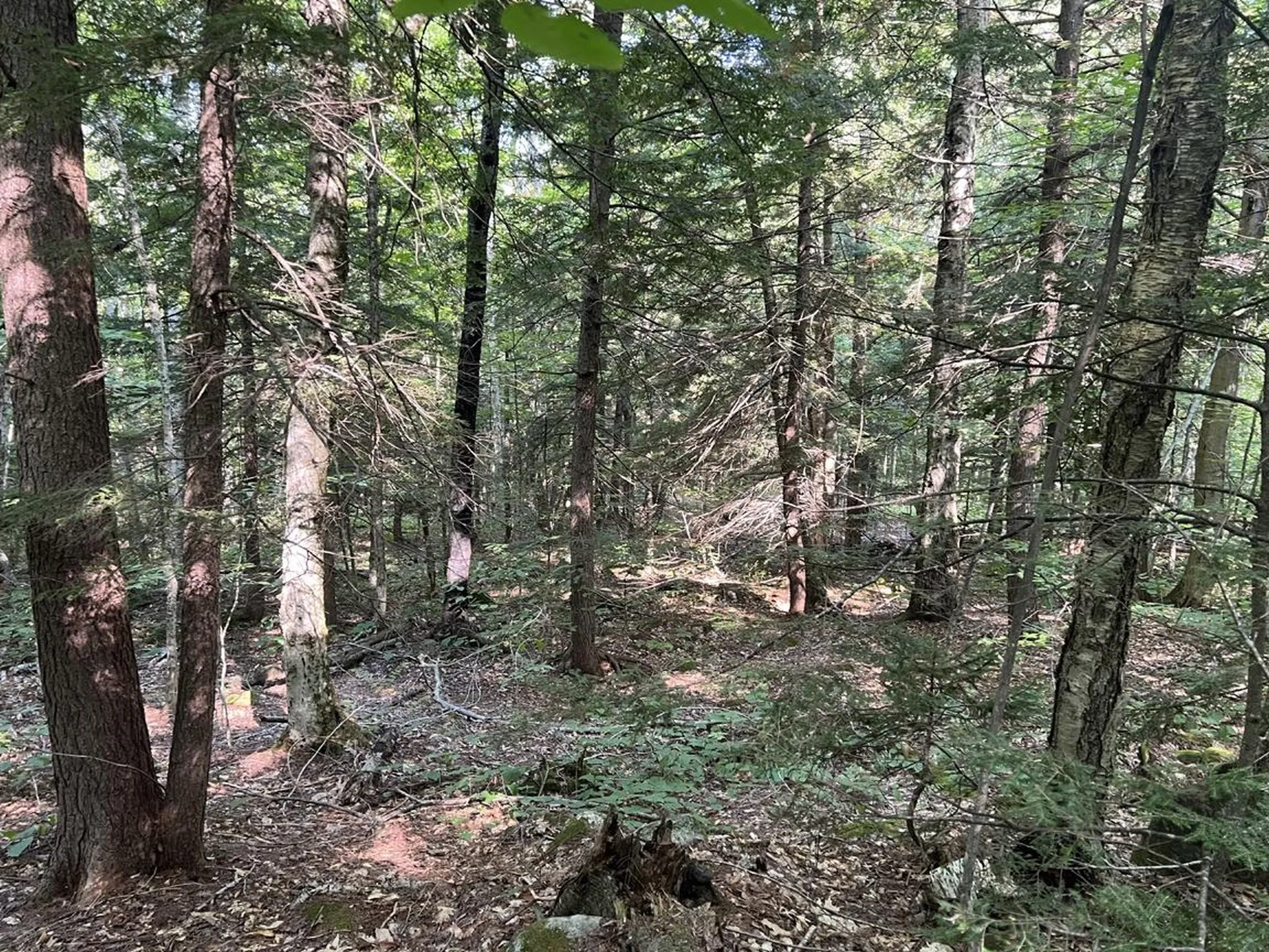 Pike Hill Road Plymouth NH 03264