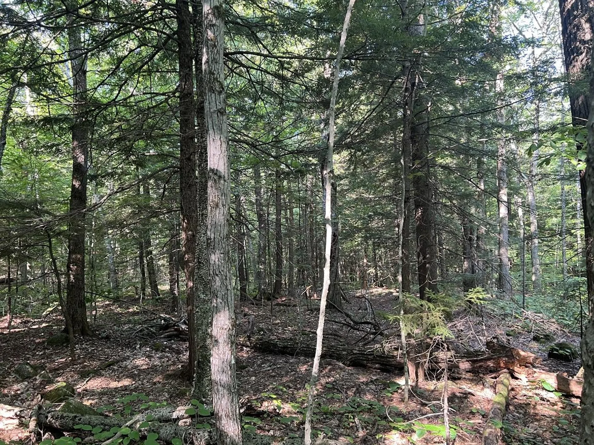 Pike Hill Road Plymouth NH 03264