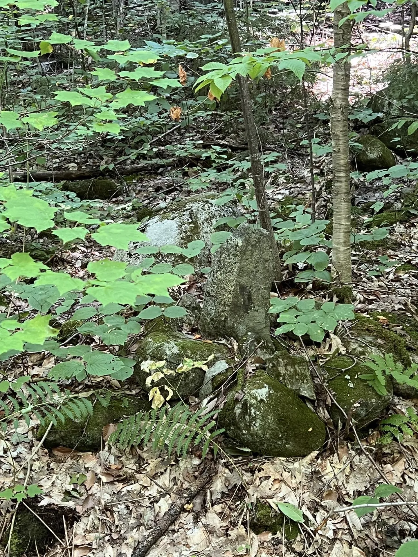 Pike Hill Road Plymouth NH 03264