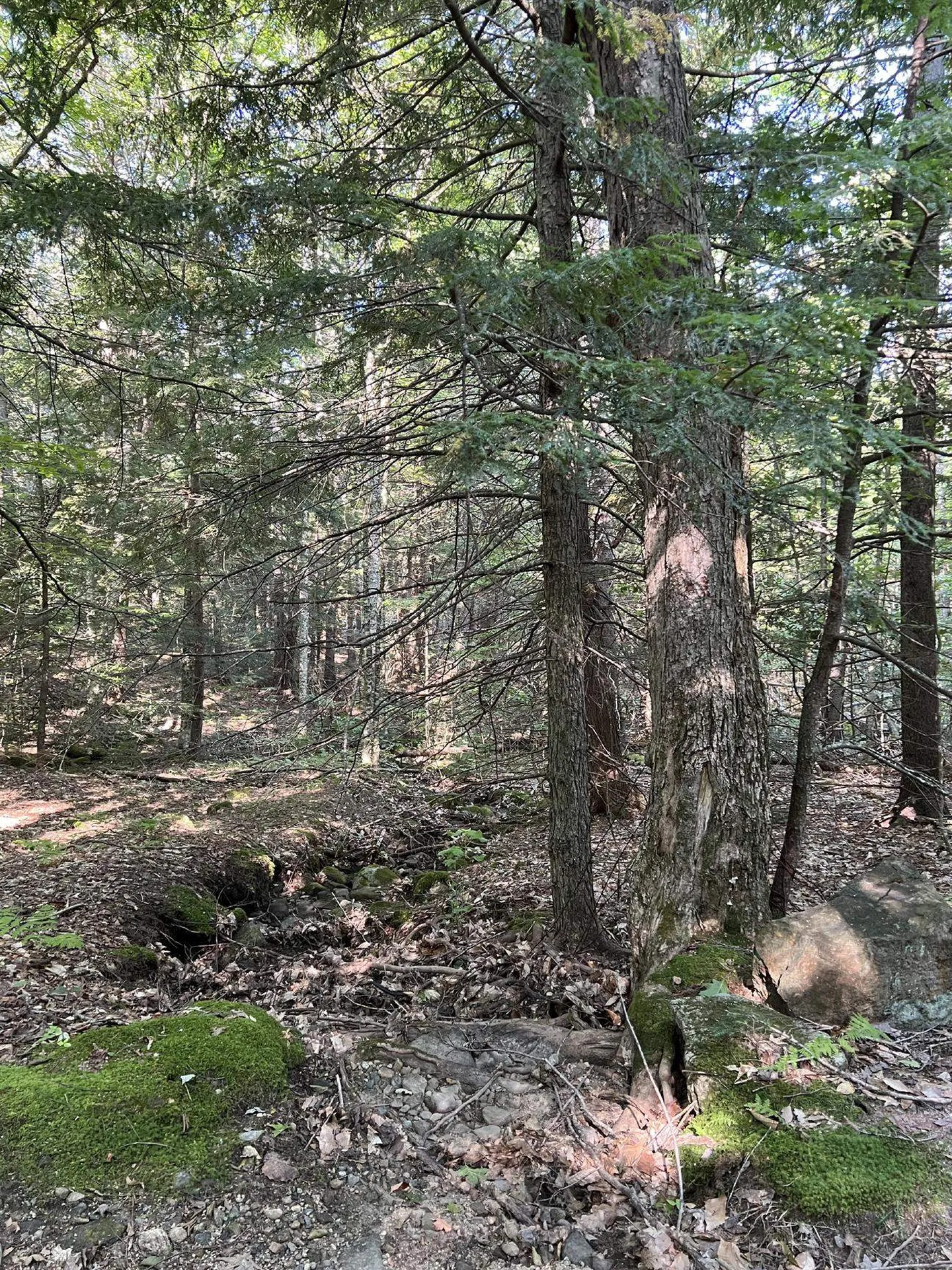 Pike Hill Road Plymouth NH 03264