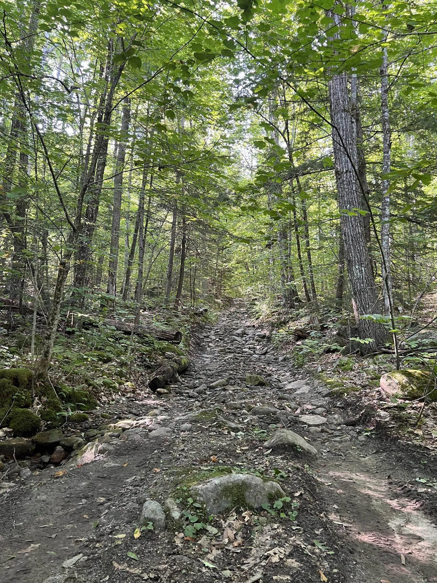 Pike Hill Road Plymouth NH 03264