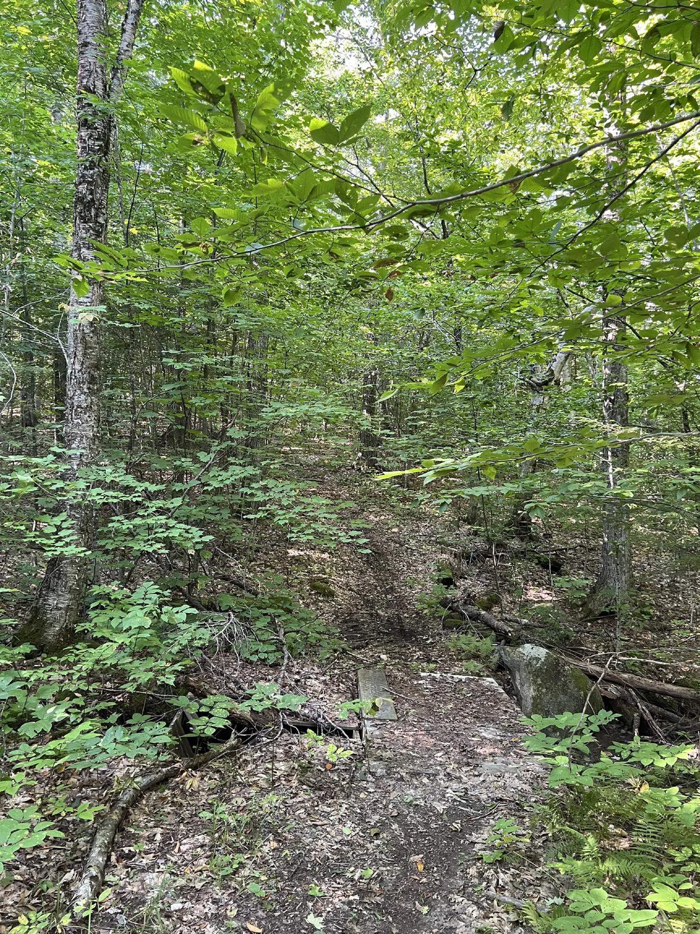 Pike Hill Road Plymouth NH 03264