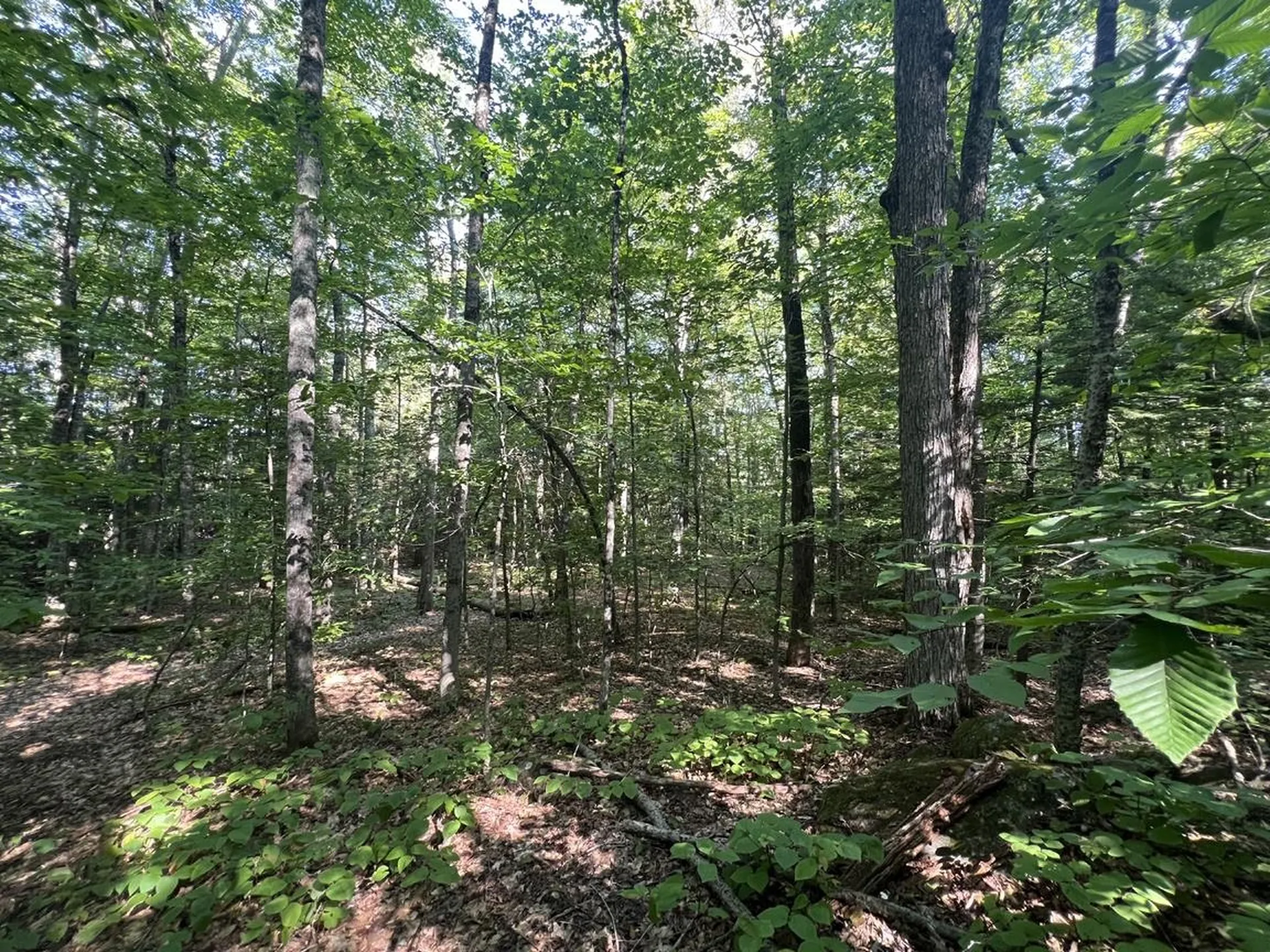 Pike Hill Road Plymouth NH 03264