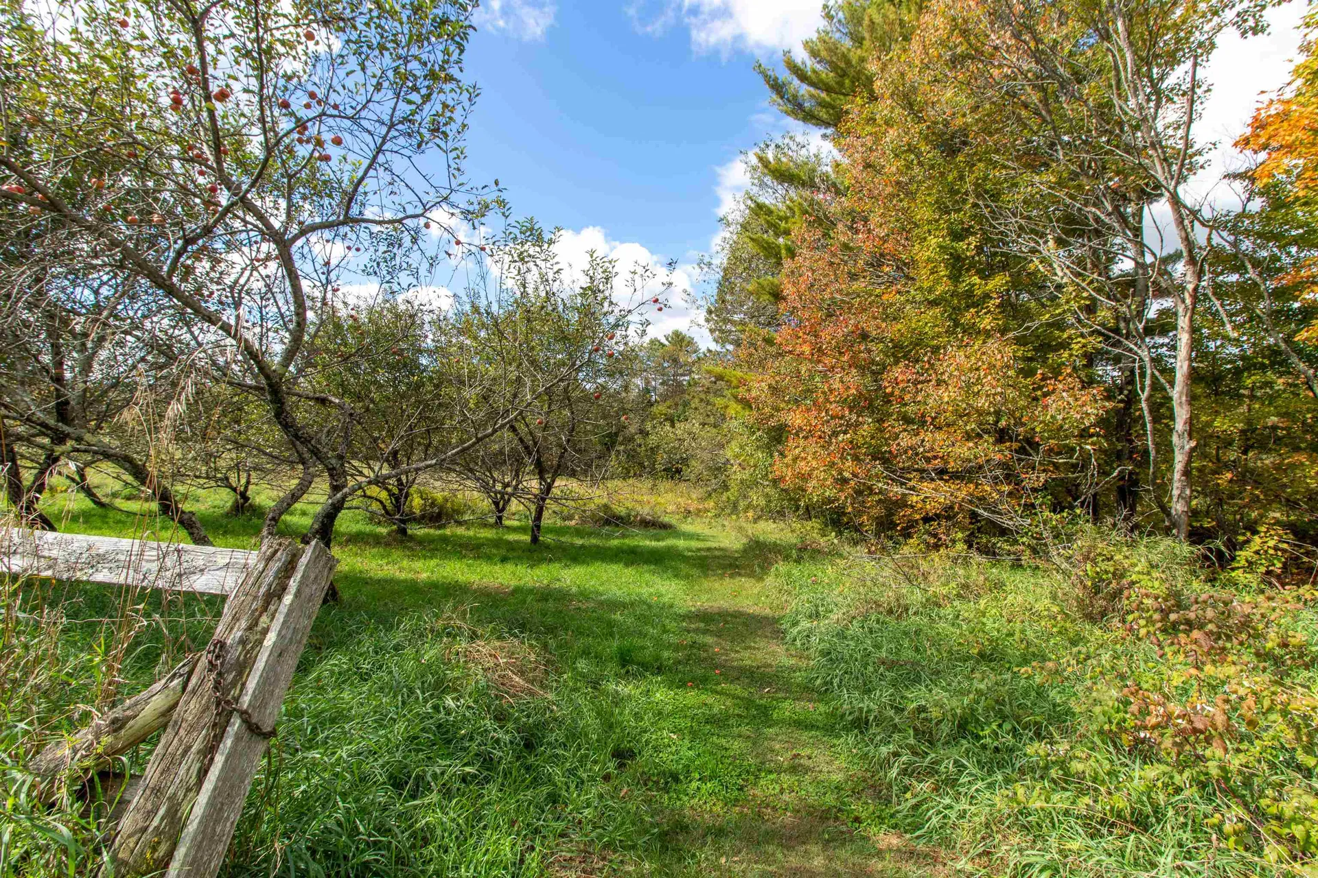 157 Willoughby Way Lyndon VT 05851