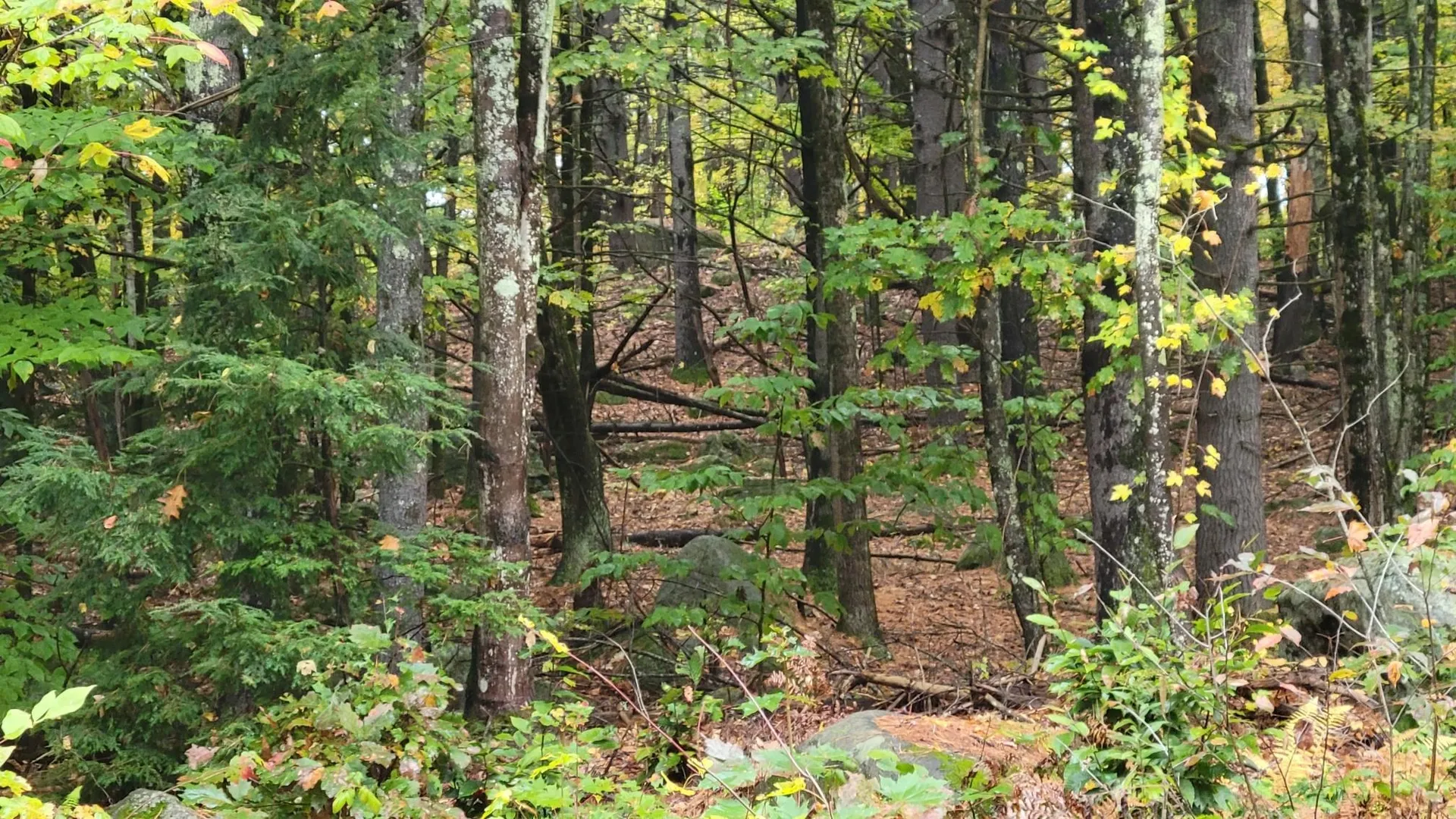 0 South Stark Highway Weare NH 03281