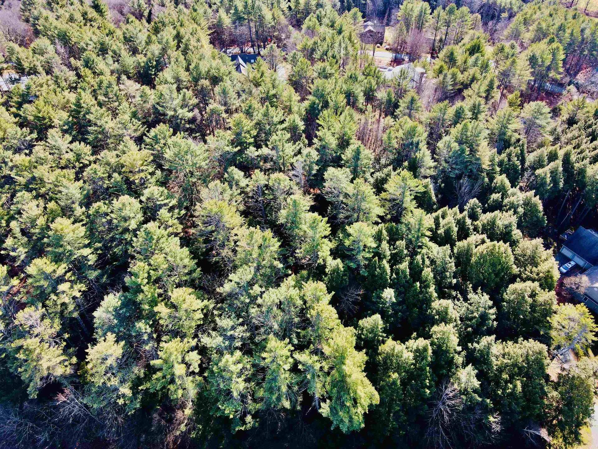 1028 Fairbanks Turn Hartford VT 05059