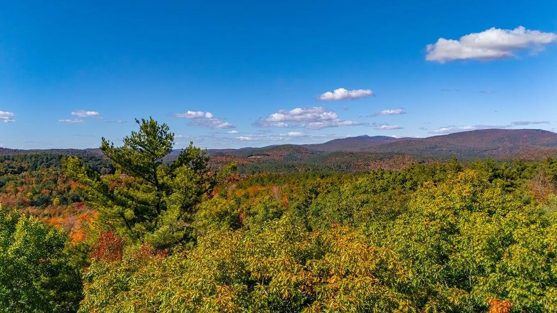 0 Us Route 4 Danbury NH 03230