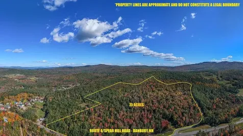 0 Us Route 4 Danbury NH 03230