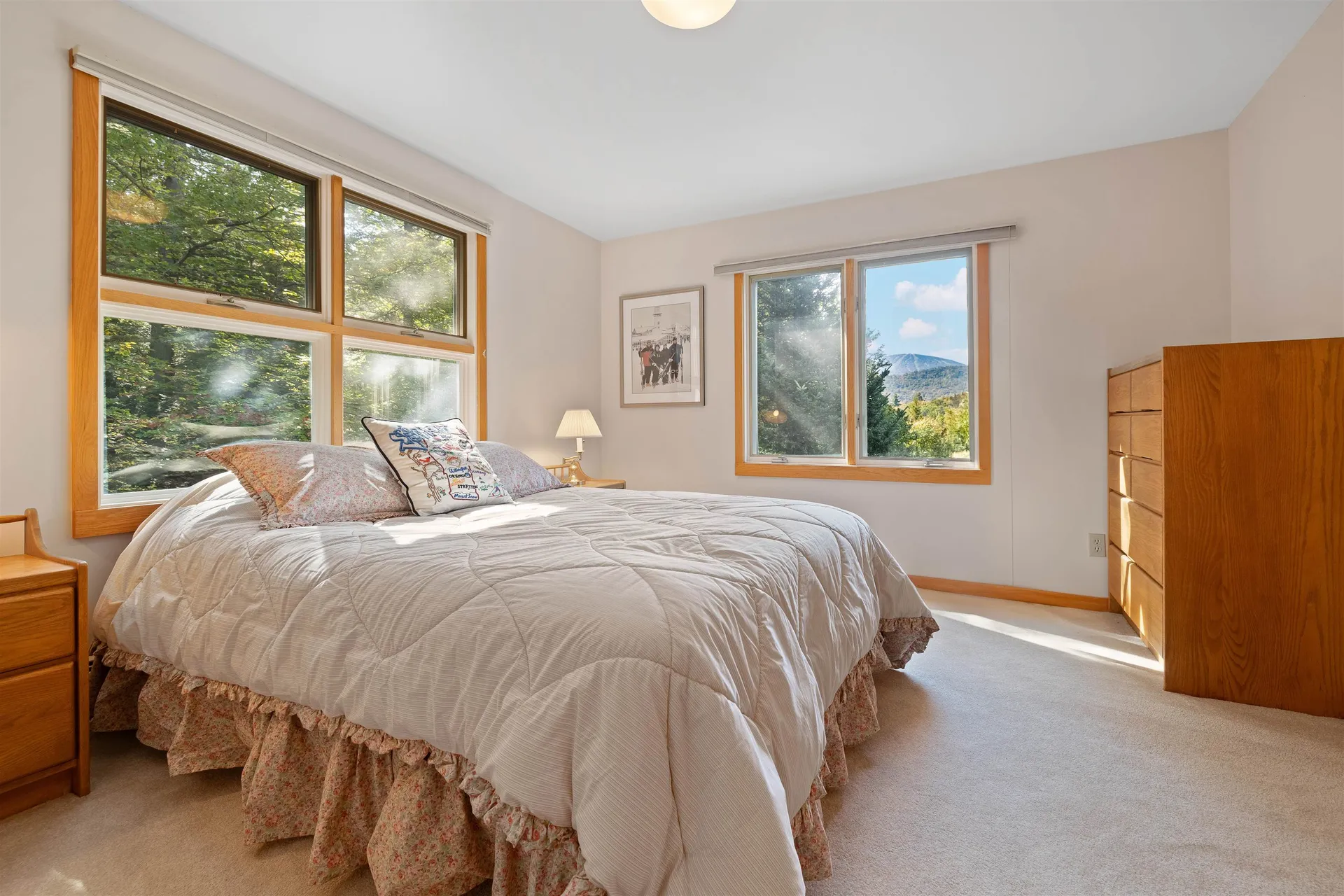 53 Stratton View Road Winhall VT 05340