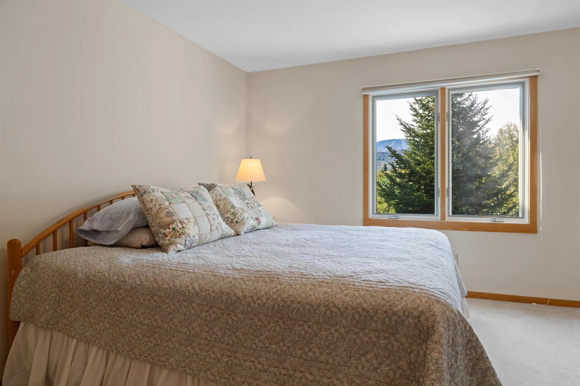 53 Stratton View Road Winhall VT 05340