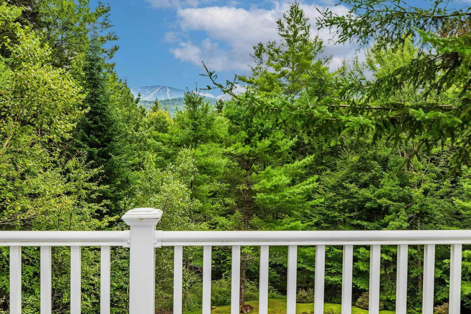 53 Stratton View Road Winhall VT 05340