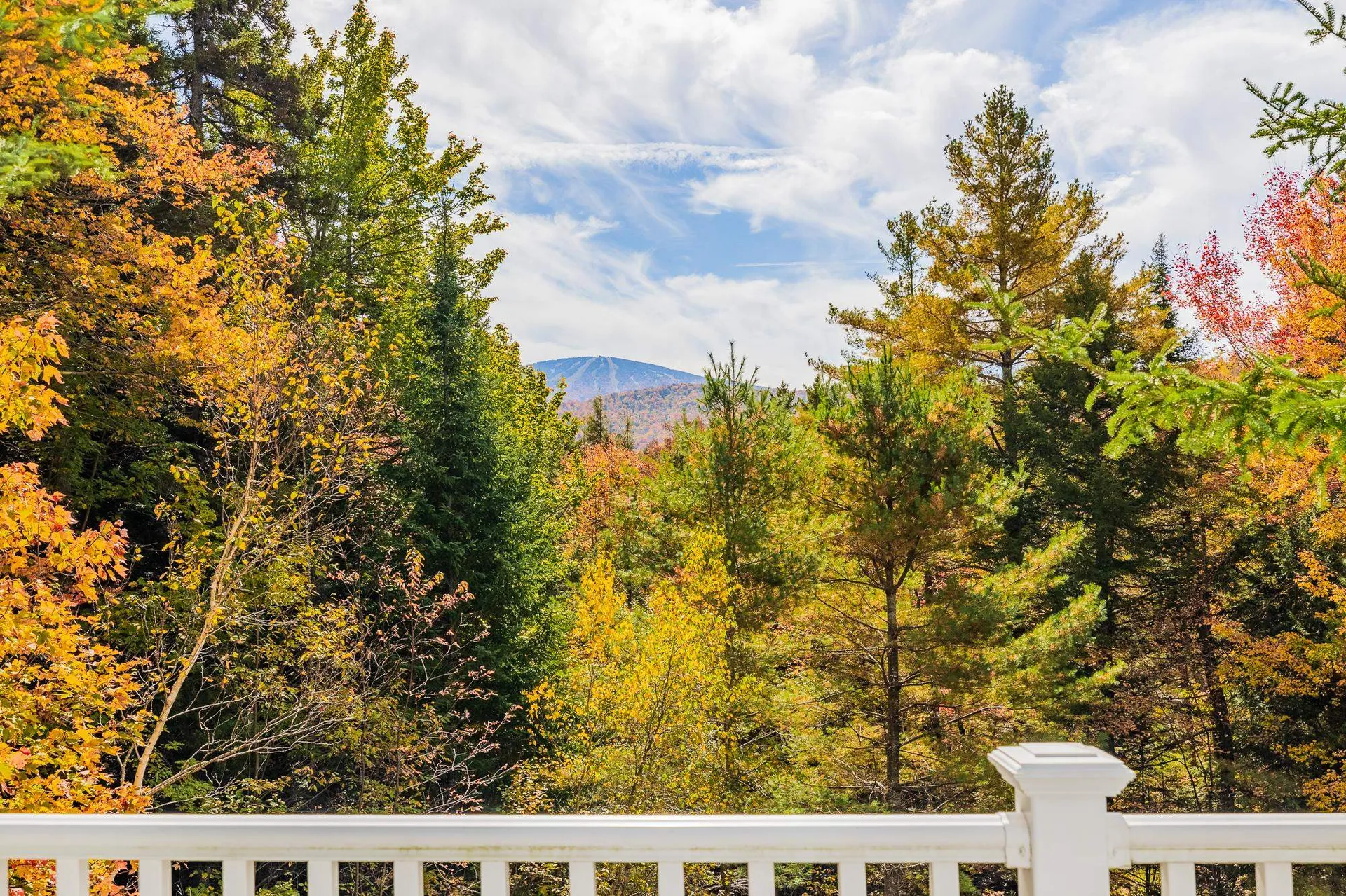 53 Stratton View Road Winhall VT 05340