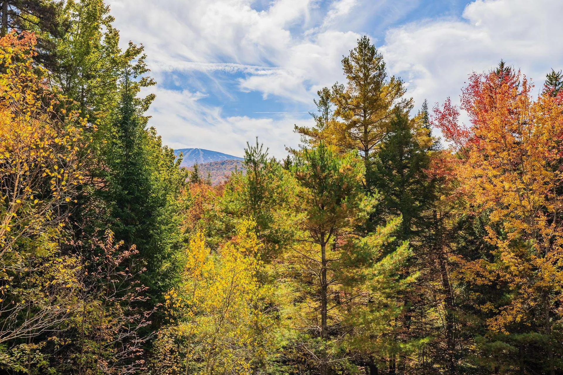 53 Stratton View Road Winhall VT 05340