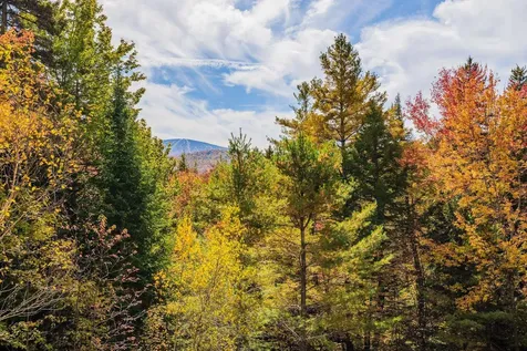 53 Stratton View Road Winhall VT 05340