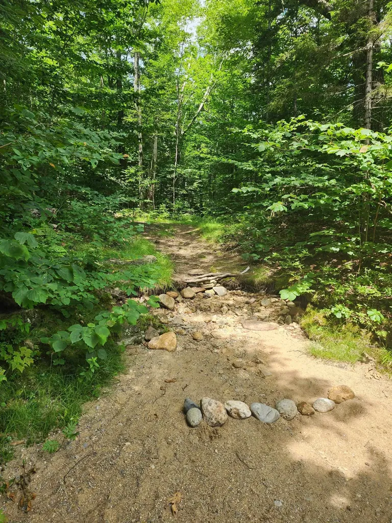 47 Dana Place Road Jackson NH 03846