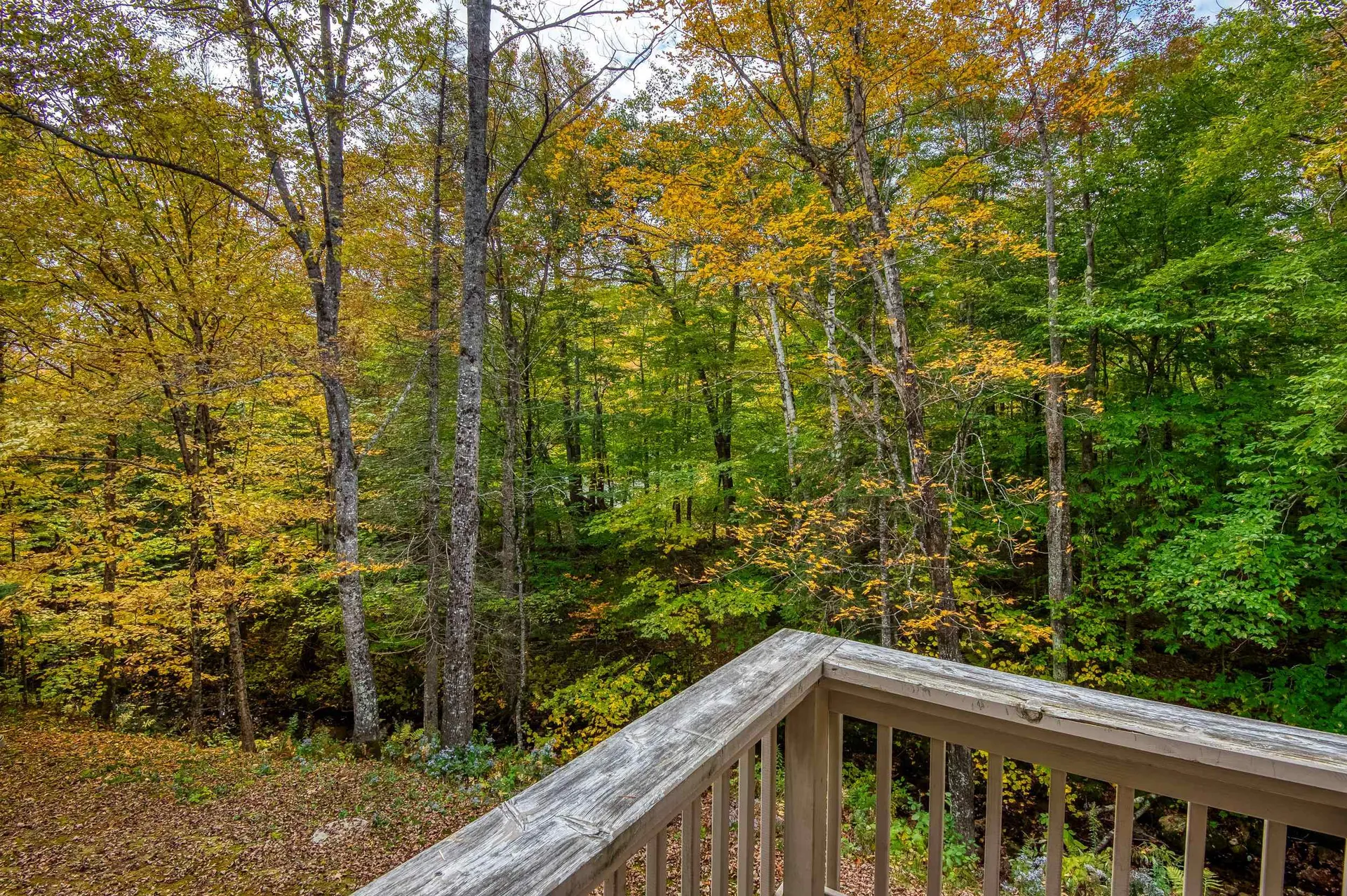 47 Dana Place Road Jackson NH 03846