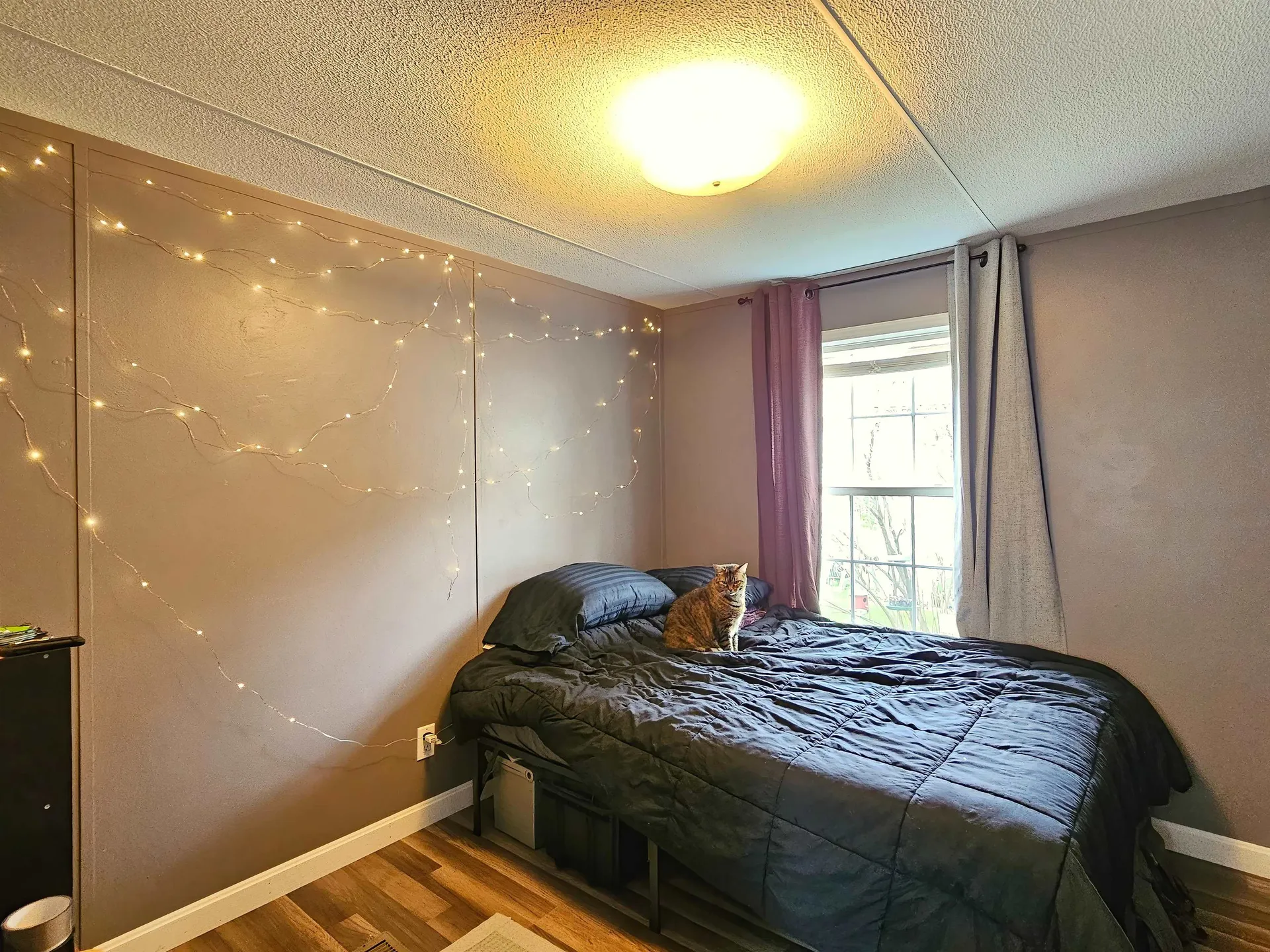 196 Hilltop Circle Richmond VT 05477