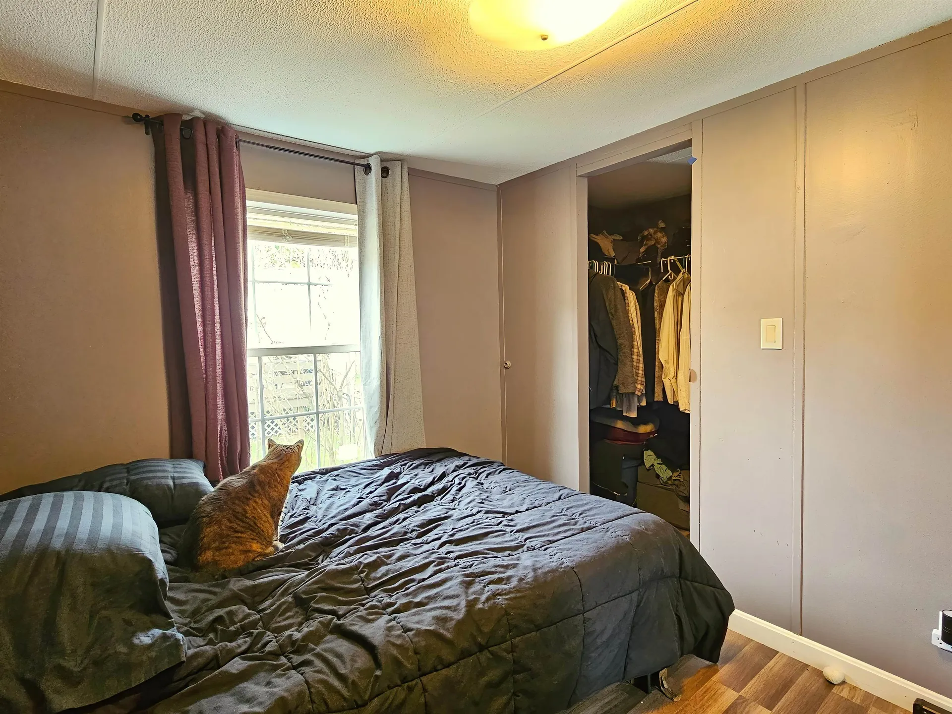 196 Hilltop Circle Richmond VT 05477