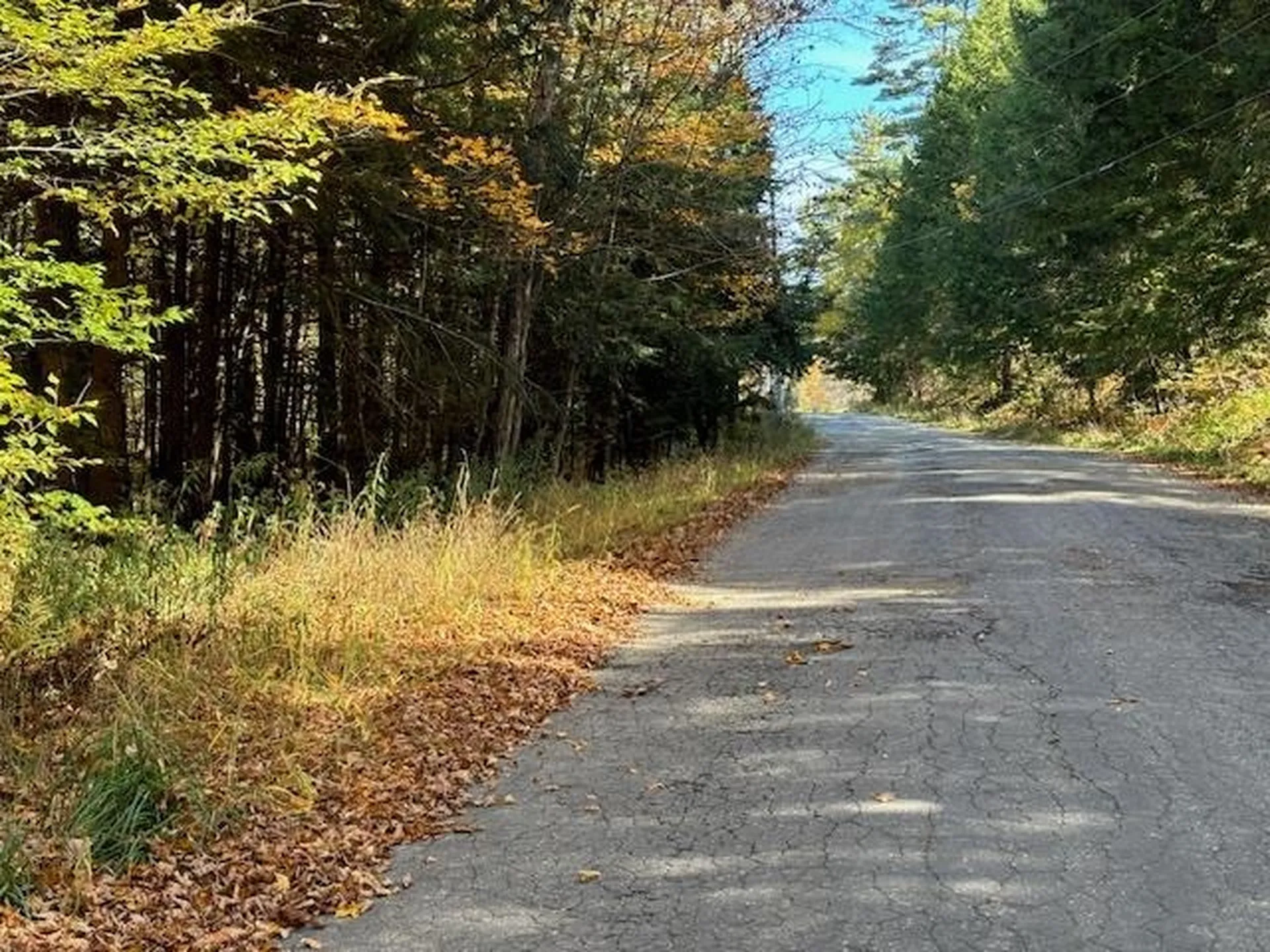 161 Forest Road Acworth NH 03607