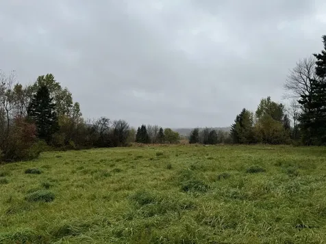 1950 Stearns Brook Road Holland VT 05830