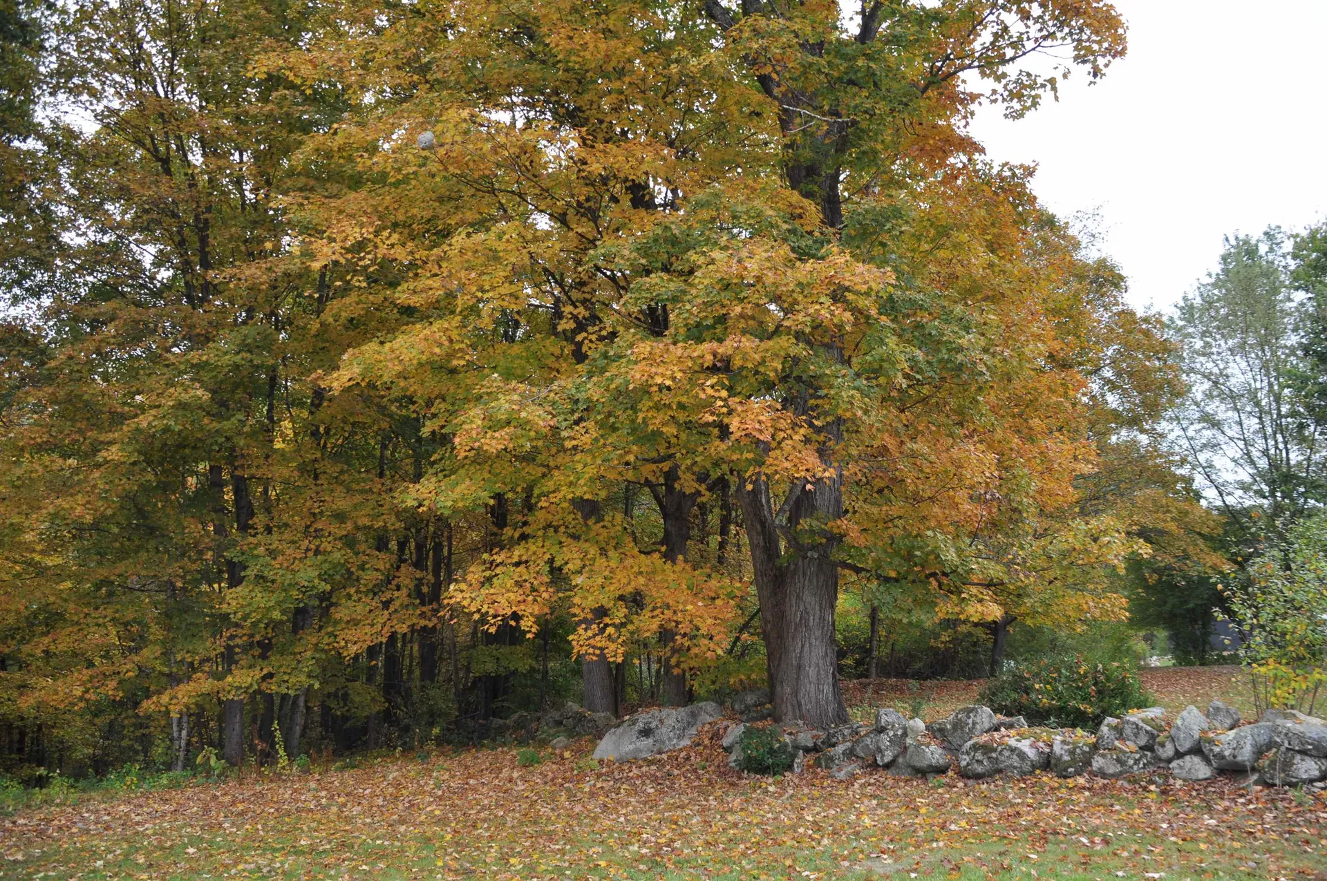 445 Spofford Road Westmoreland NH 03467