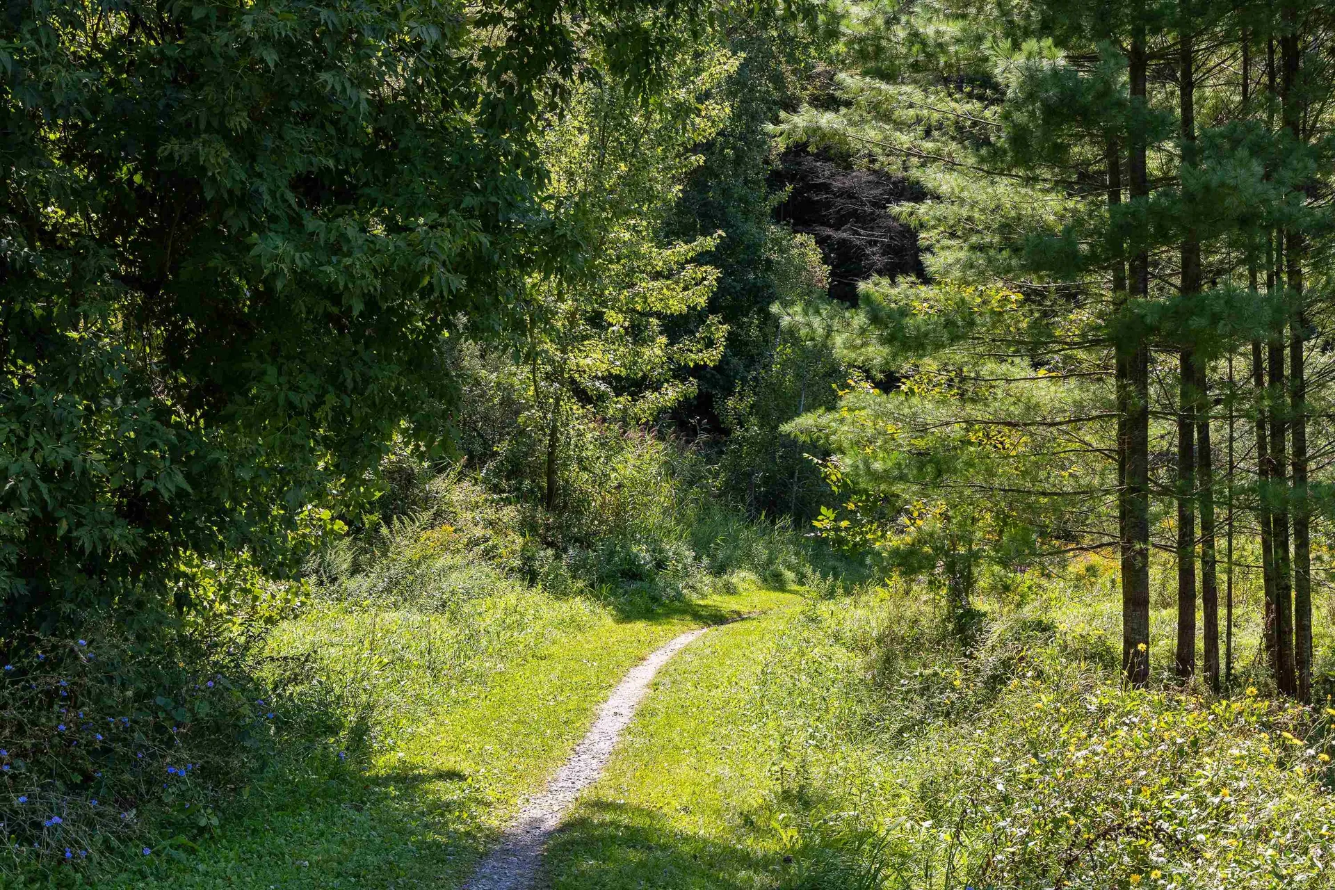 45 Hildred Drive Burlington VT 05401