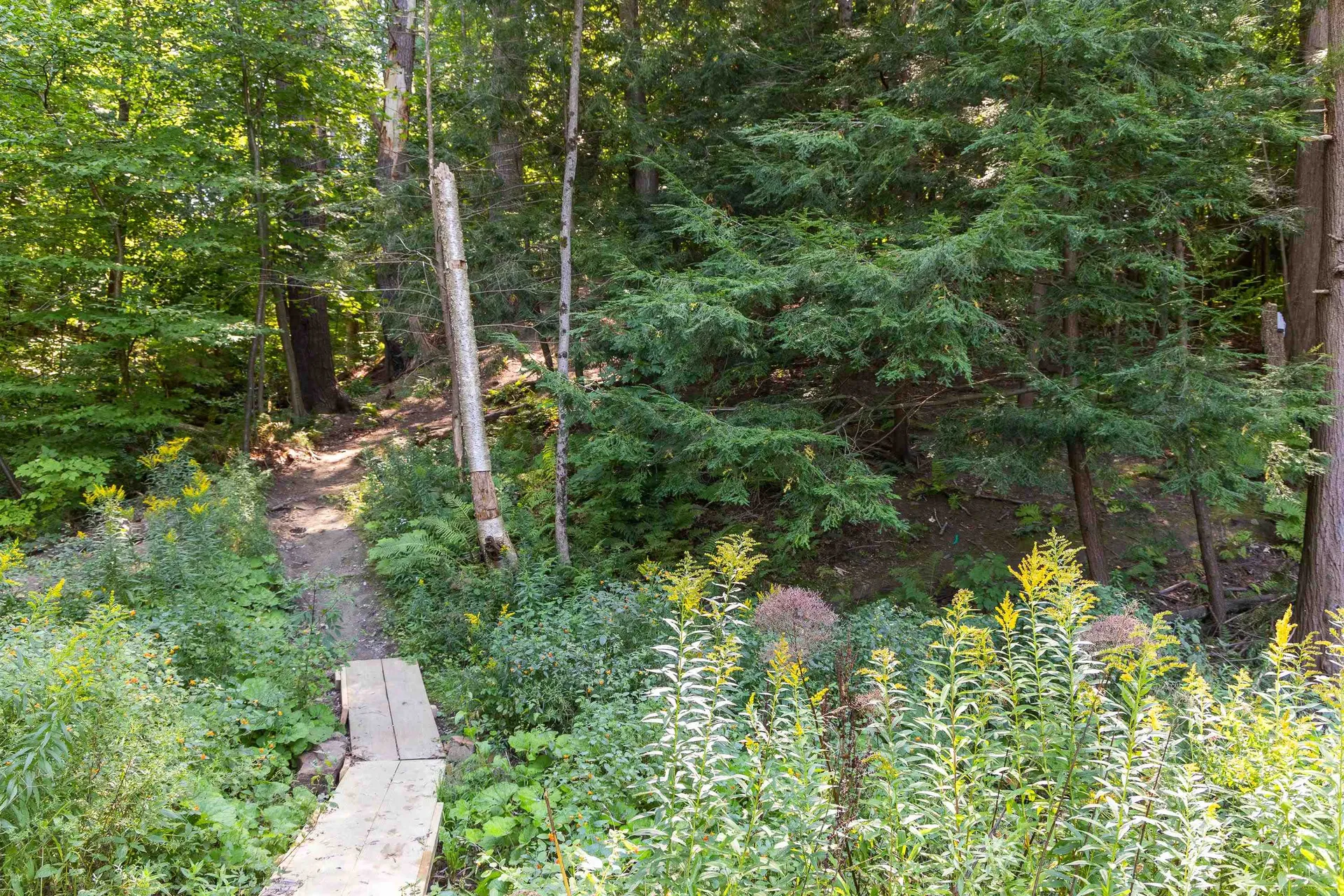 45 Hildred Drive Burlington VT 05401