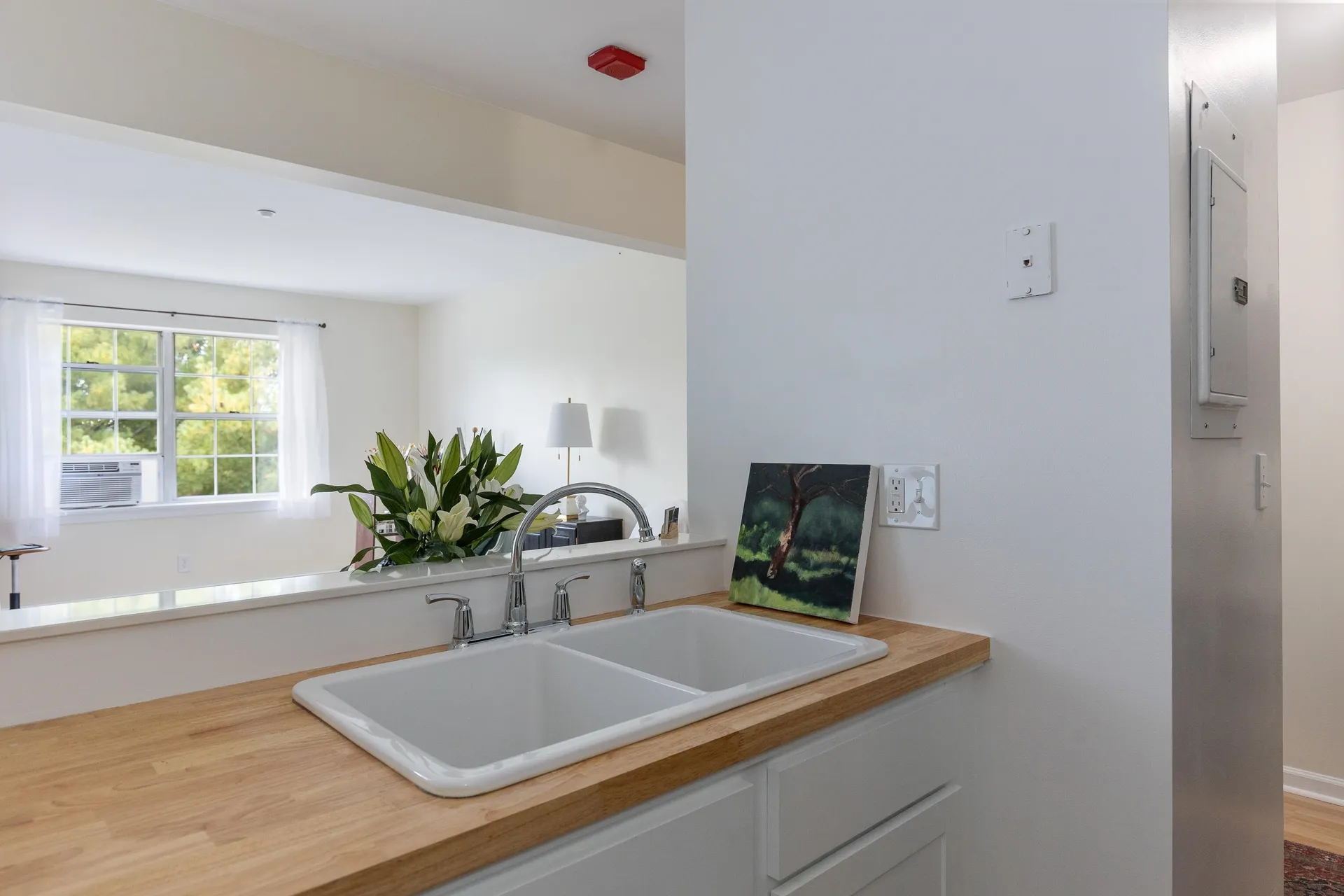 45 Hildred Drive Burlington VT 05401