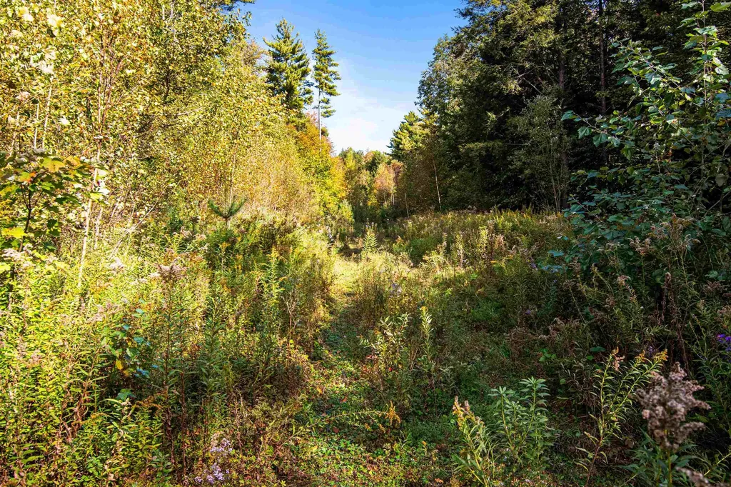 00 Raymo Drive Highgate VT 05459