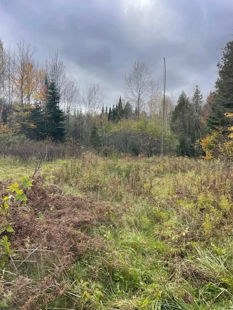 88 Coles Road Charleston VT 05872