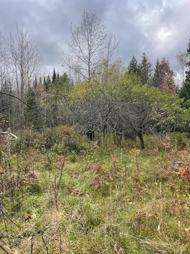 88 Coles Road Charleston VT 05872