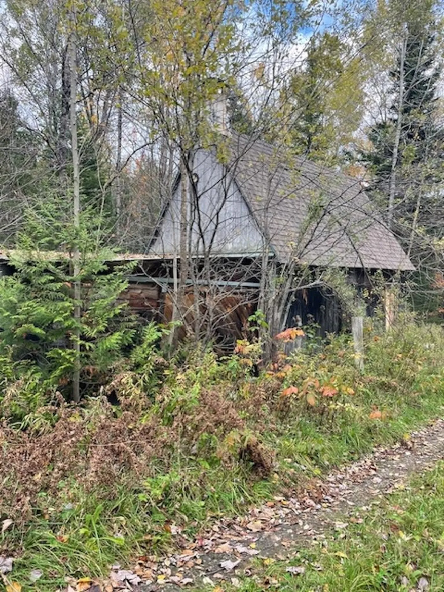 88 Coles Road Charleston VT 05872