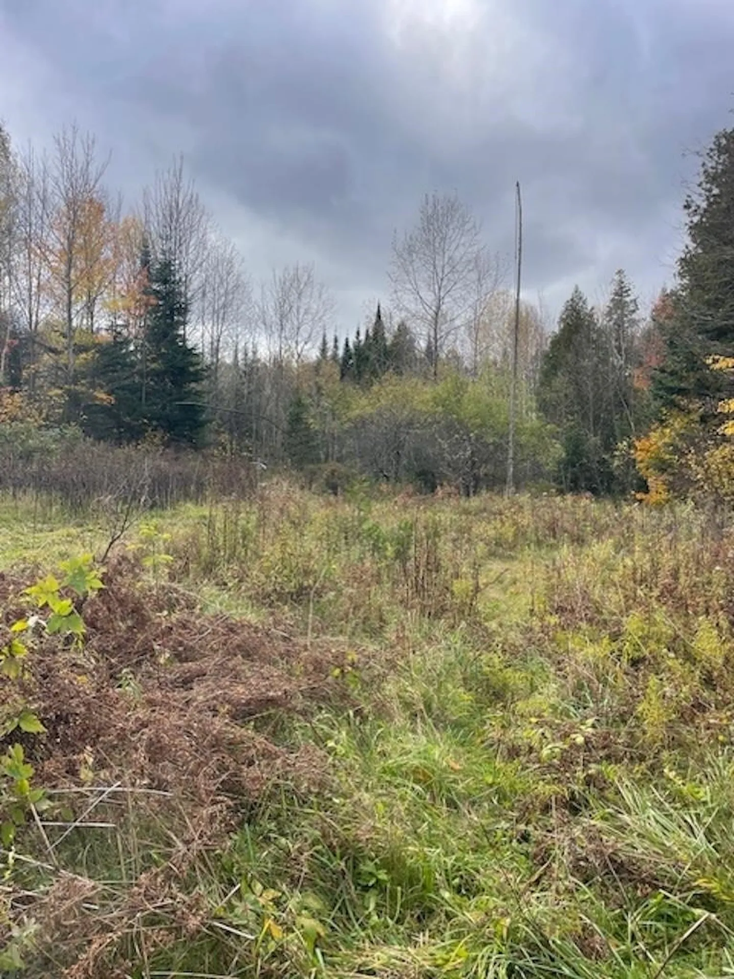 88 Coles Road Charleston VT 05872