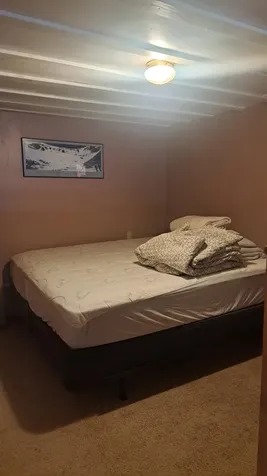 233 Blue Brook Road Dover VT 05356