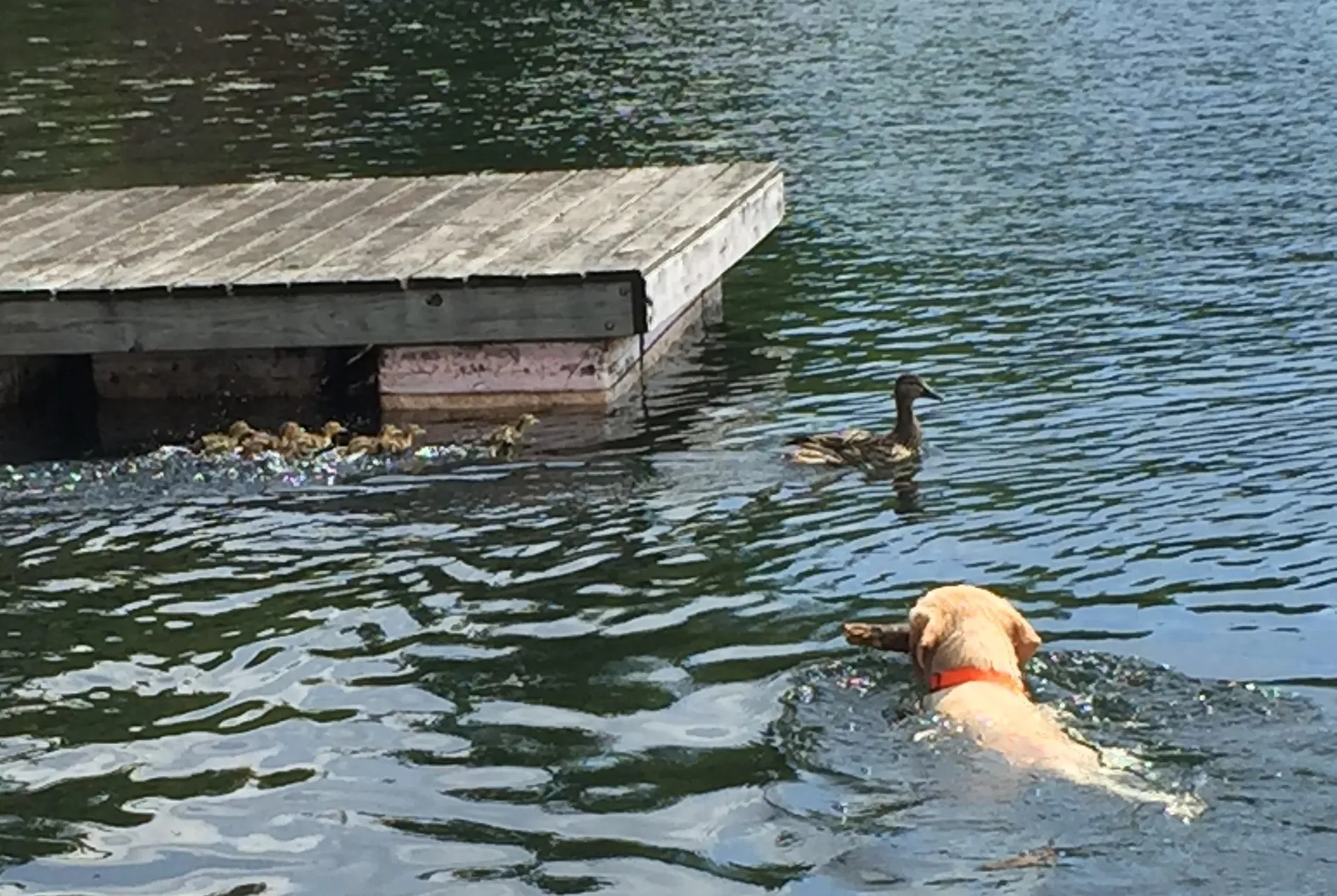 180 West Lake Road Wilmington VT 05363