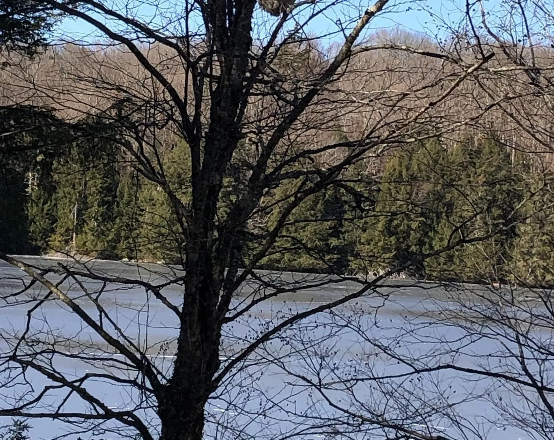 180 West Lake Road Wilmington VT 05363