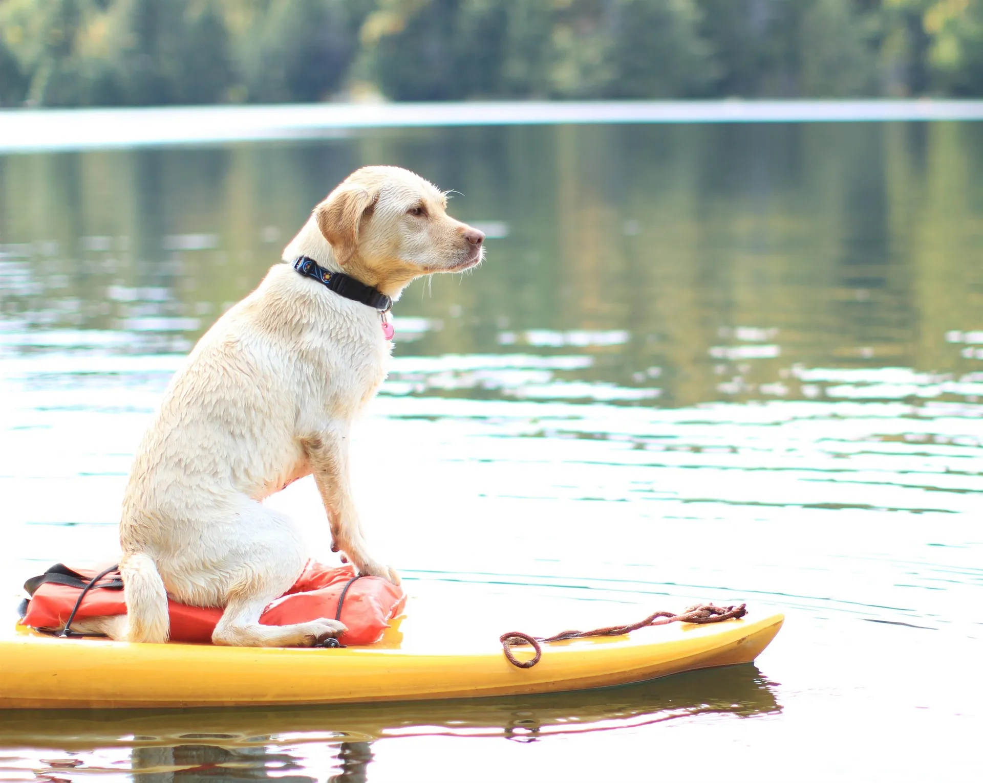 180 West Lake Road Wilmington VT 05363