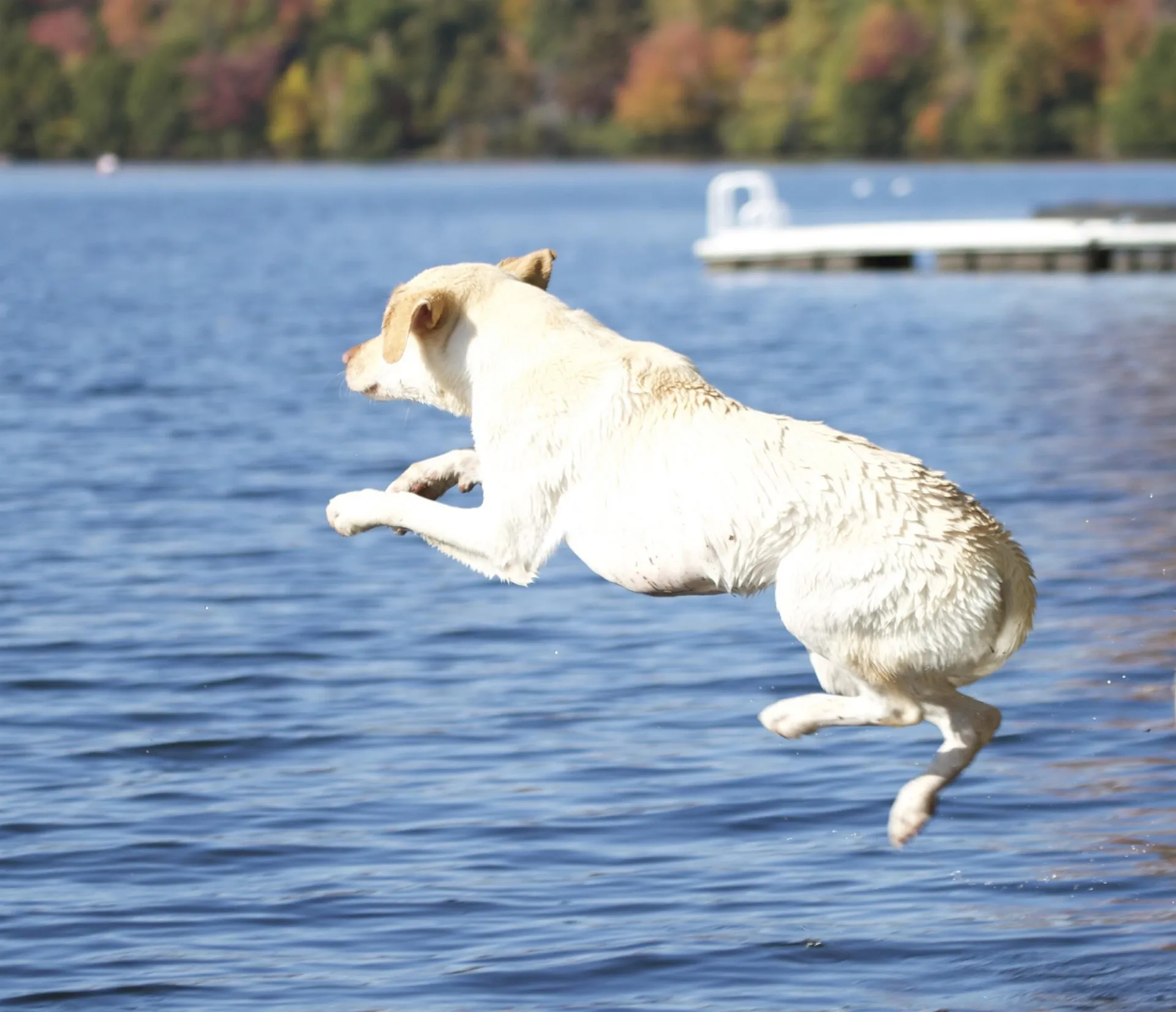 180 West Lake Road Wilmington VT 05363